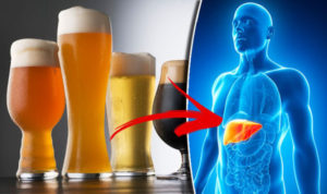 Read more about the article Alcohol’s Effect on the Body